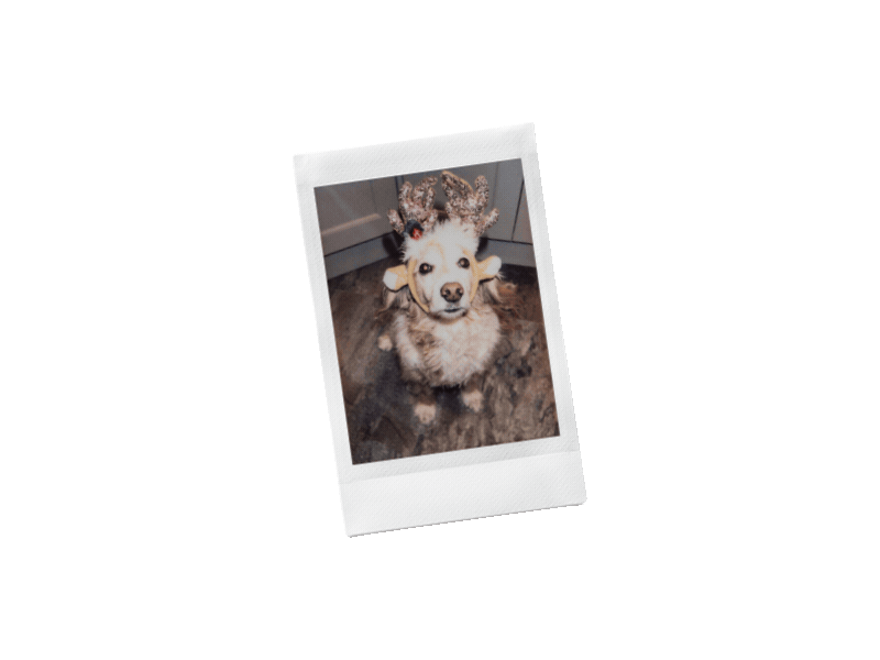 instax™ mini prints