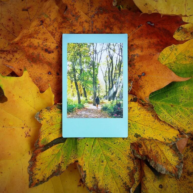 Cosy, curated: autumn scrapbook ideas you’ll want to steal