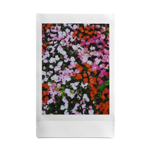 POV: You brought your instax™ on the Earth Day walk