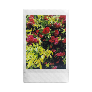 POV: You brought your instax™ on the Earth Day walk