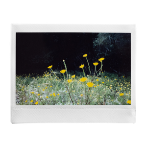 POV: You brought your instax™ on the Earth Day walk