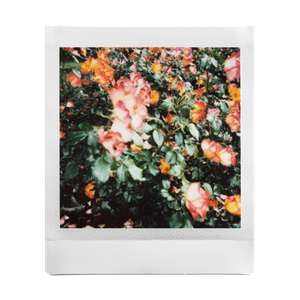 POV: You brought your instax™ on the Earth Day walk