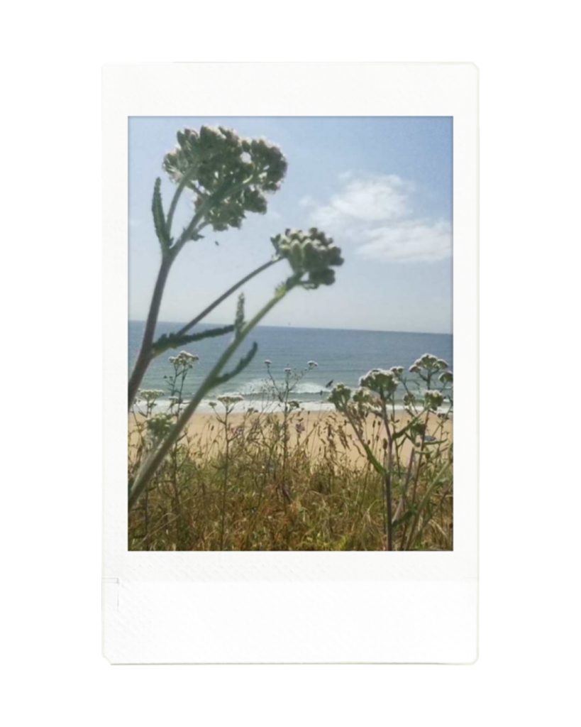 How to take your instax™ camera and film on holiday