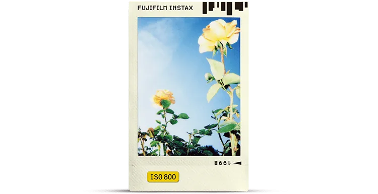 Photo Slide