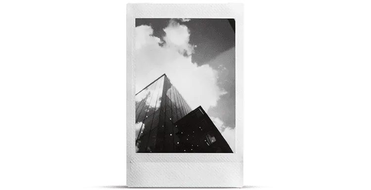 Monochrome