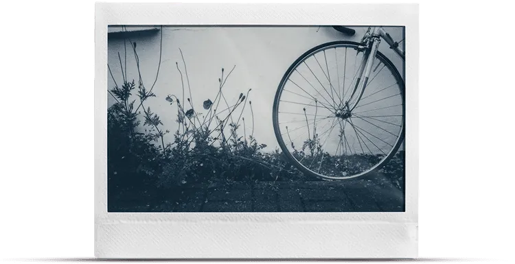 Monochrome