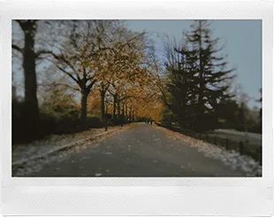 WIDE Film